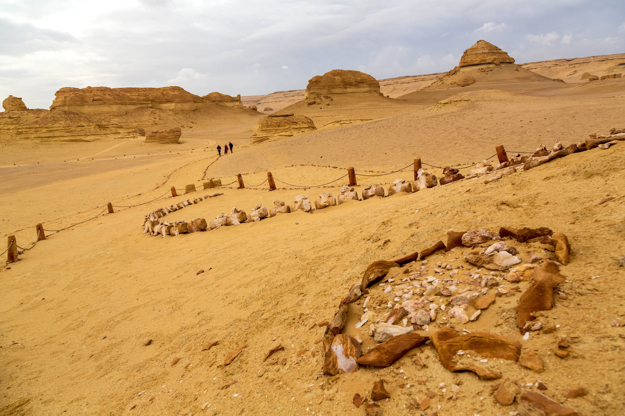 Valley of the Whales (Wadi Al-Hitan), Fayoum