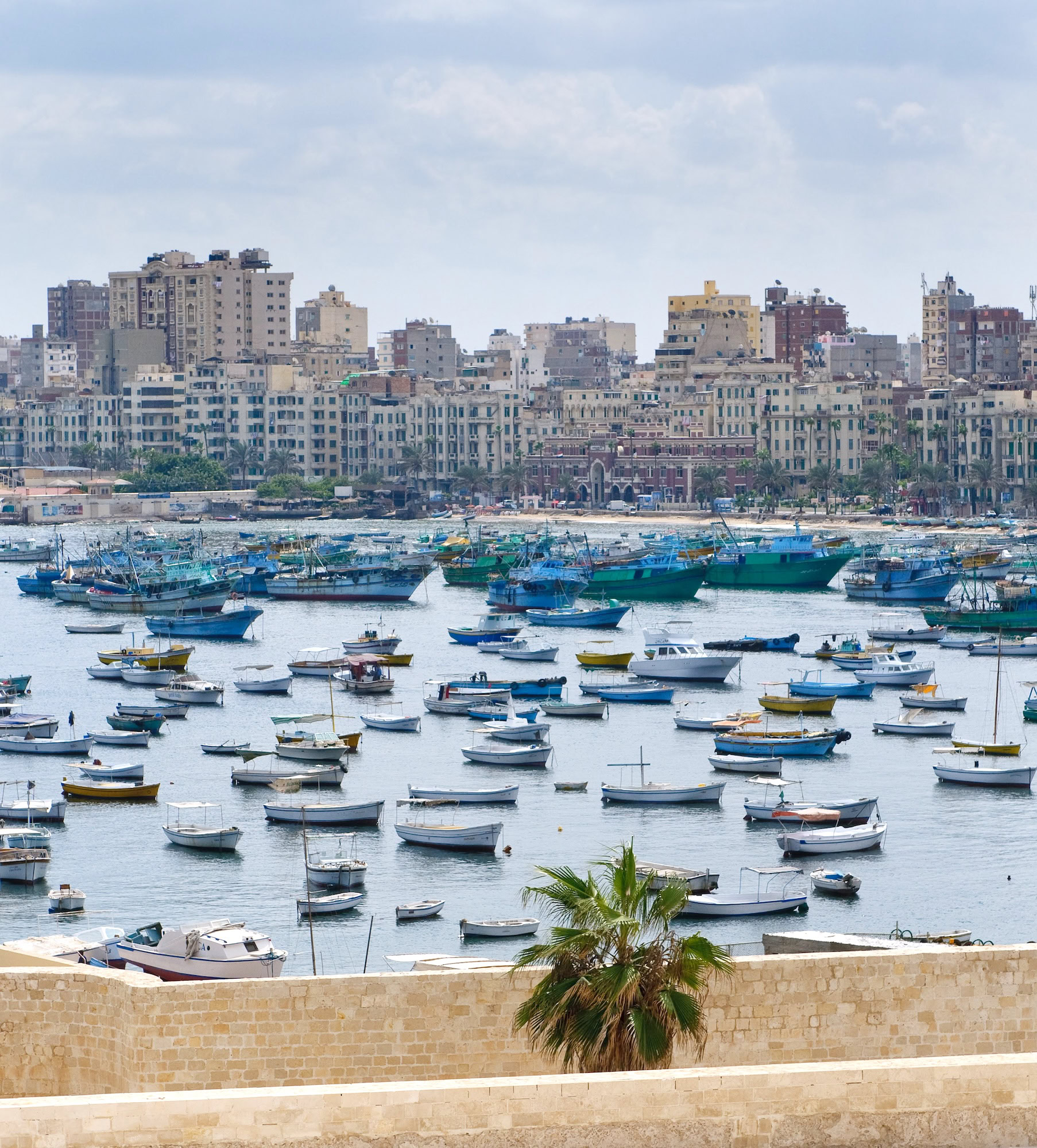 Fishing boats in Alexandria harbor with apartment buildings and palm trees