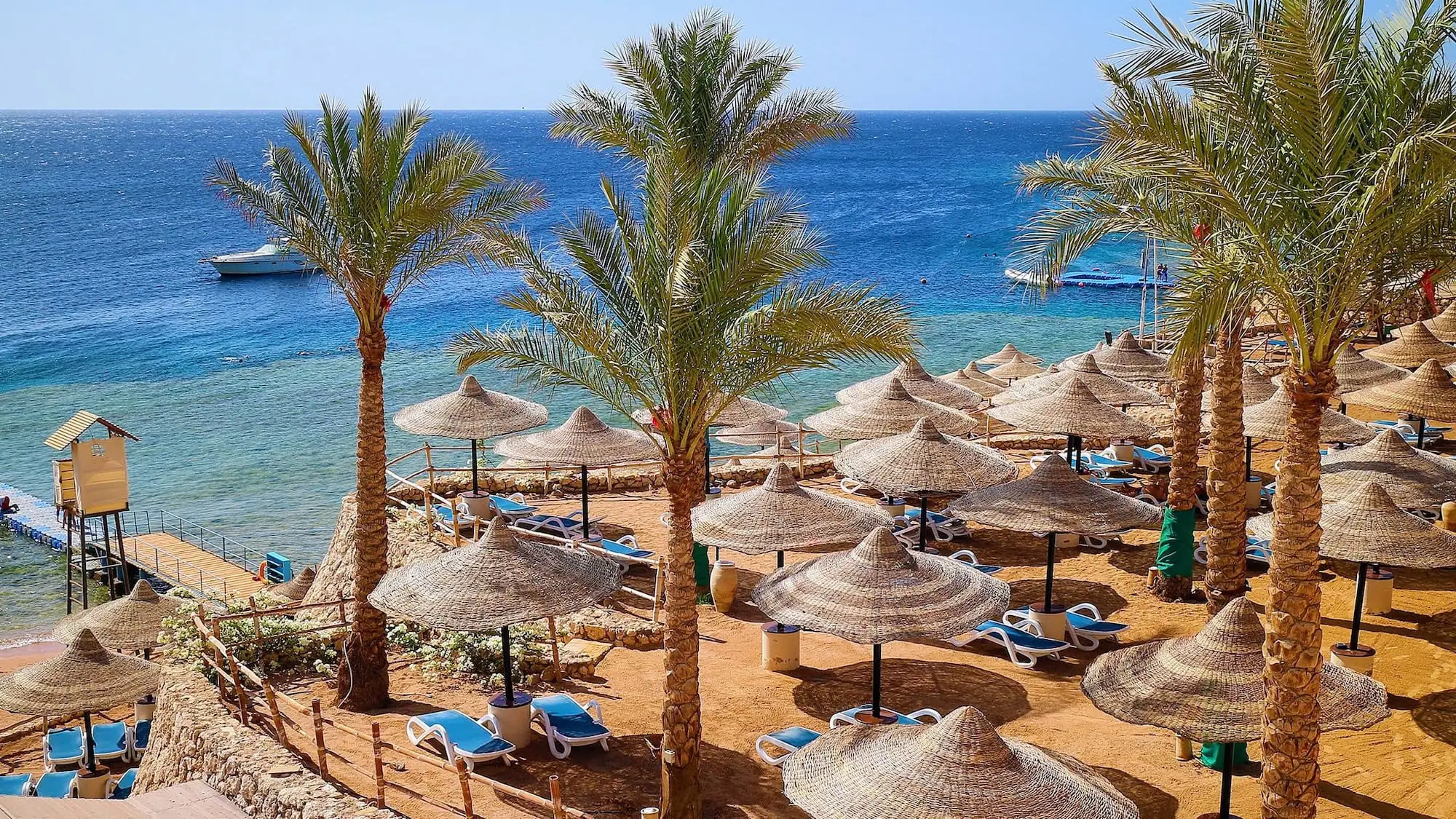 Red Sea resort beach with palm trees, lounge chairs, and clear blue waters