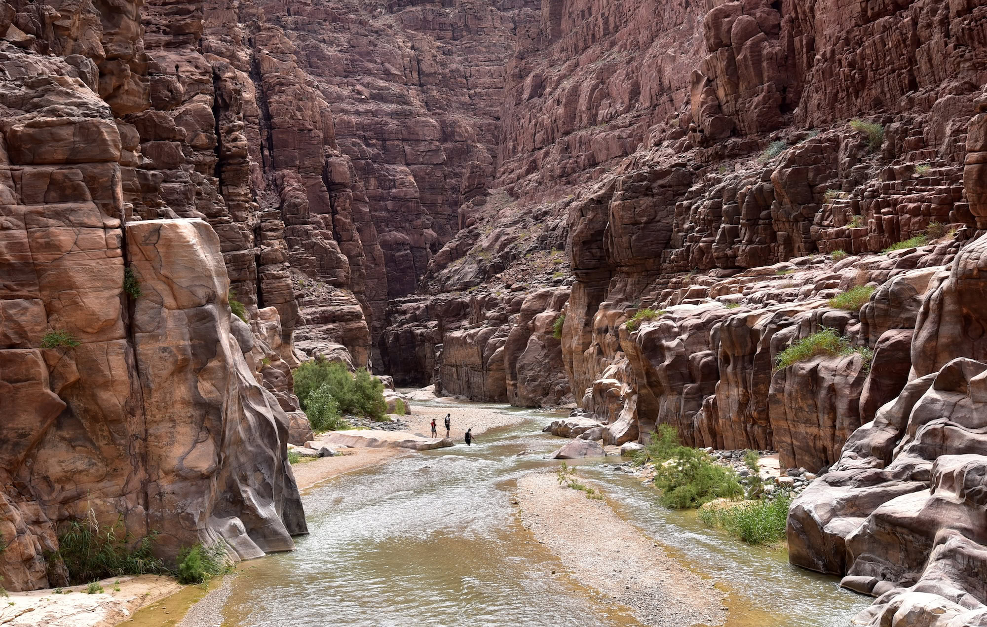Canyon with sandstone cliffs, stream, and vegetation in Wadi Mujib nature reserve