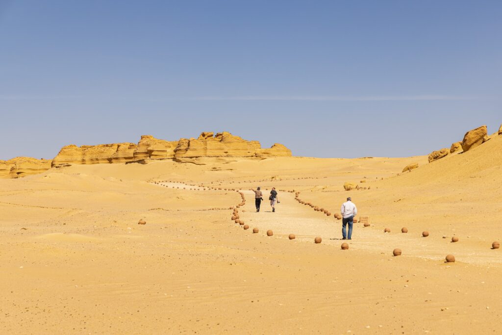 Walking trail leading to fossil displays at Wadi el-Hitan paleontological site