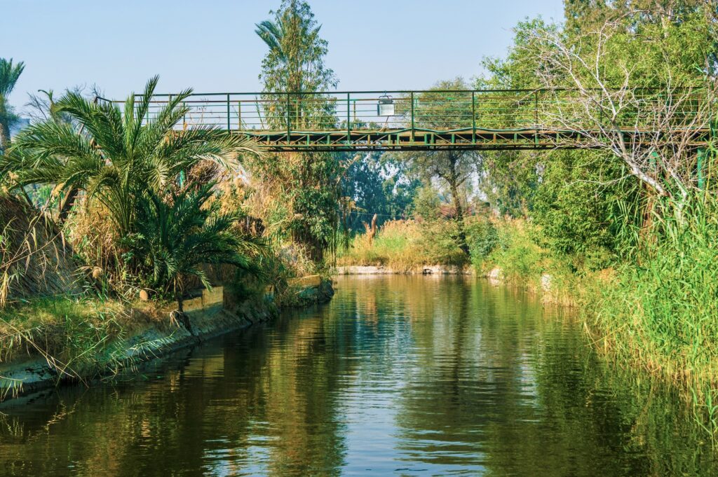 Water river Nile lagoon with beautiful green palms on the shore Cairo panoramic view photo pharaonic village