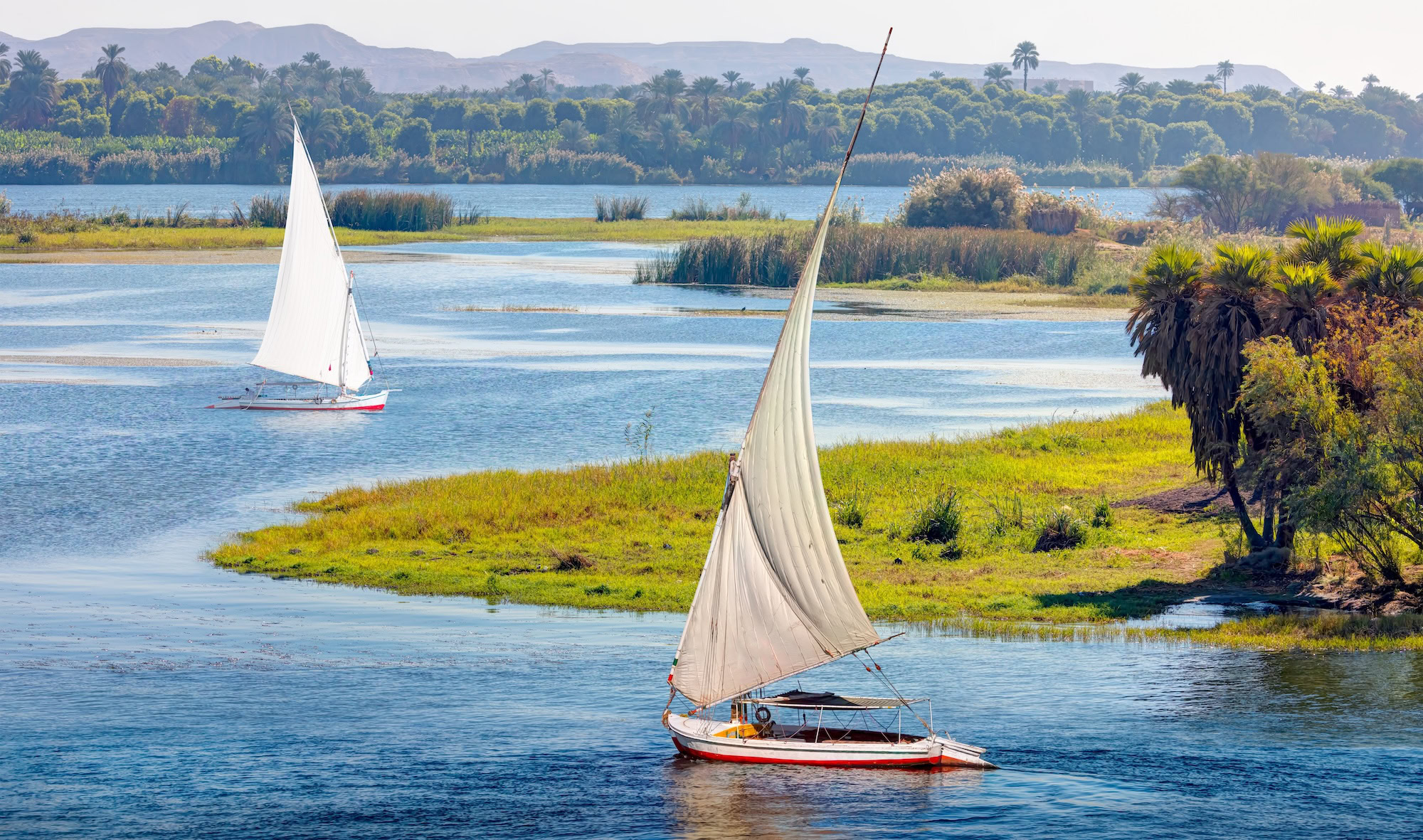 Felucca sailboats on the Nile River near small islands with palm trees