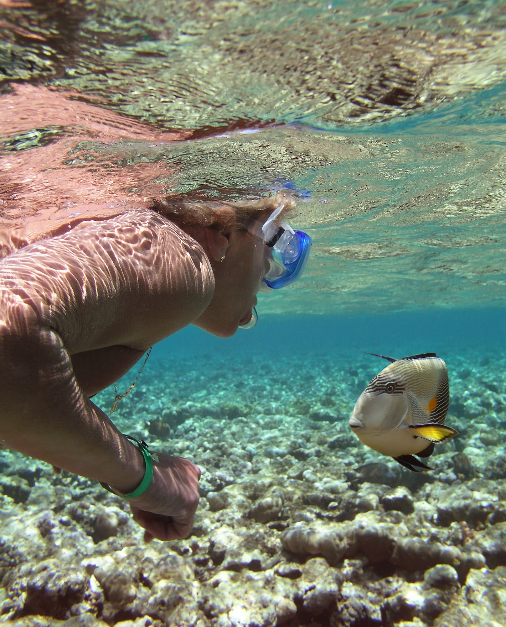 Snorkeler exploring vibrant coral reef with tropical fish underwater