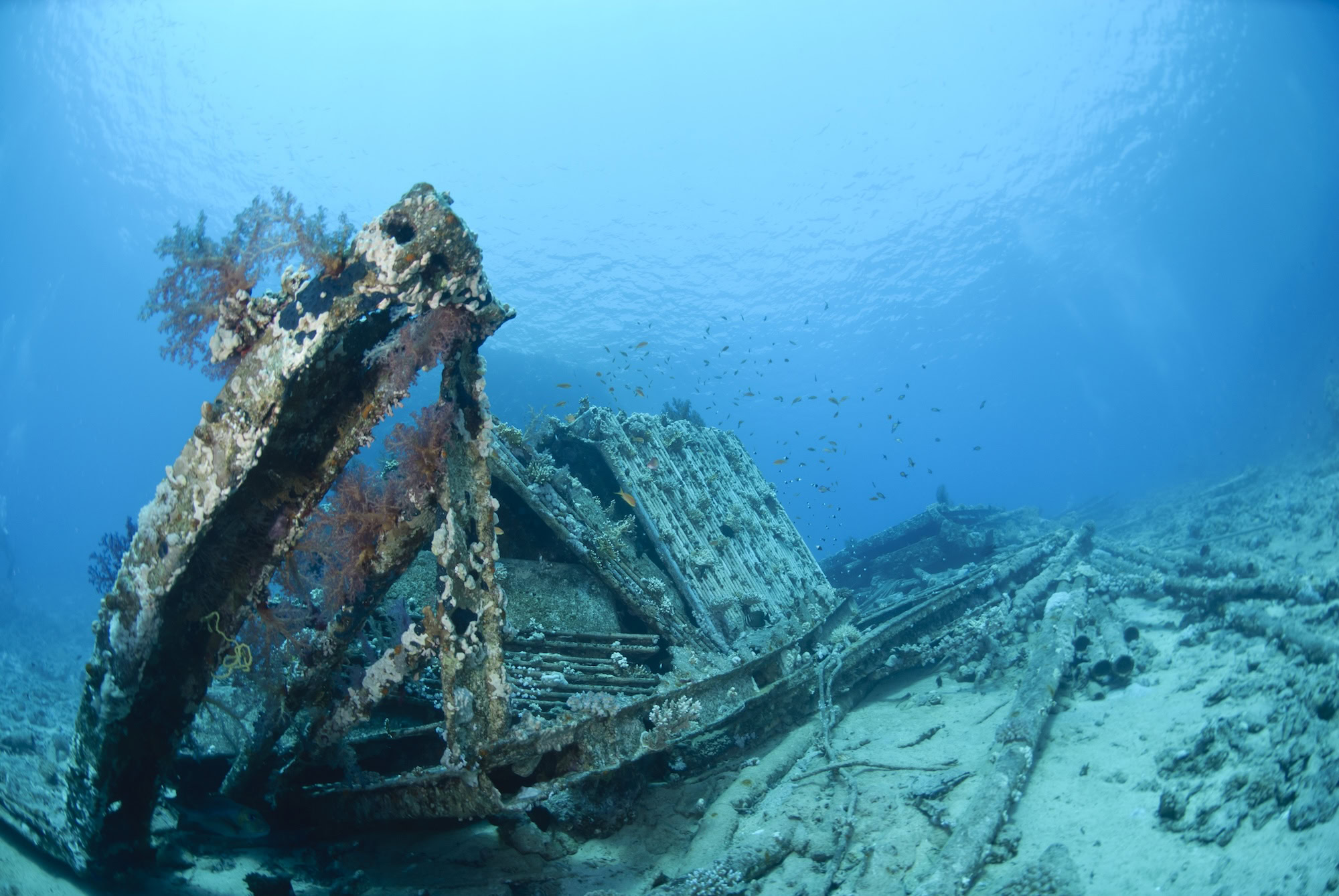 Underwater shipwreck covered in coral with tropical fish swimming around wooden mast structures