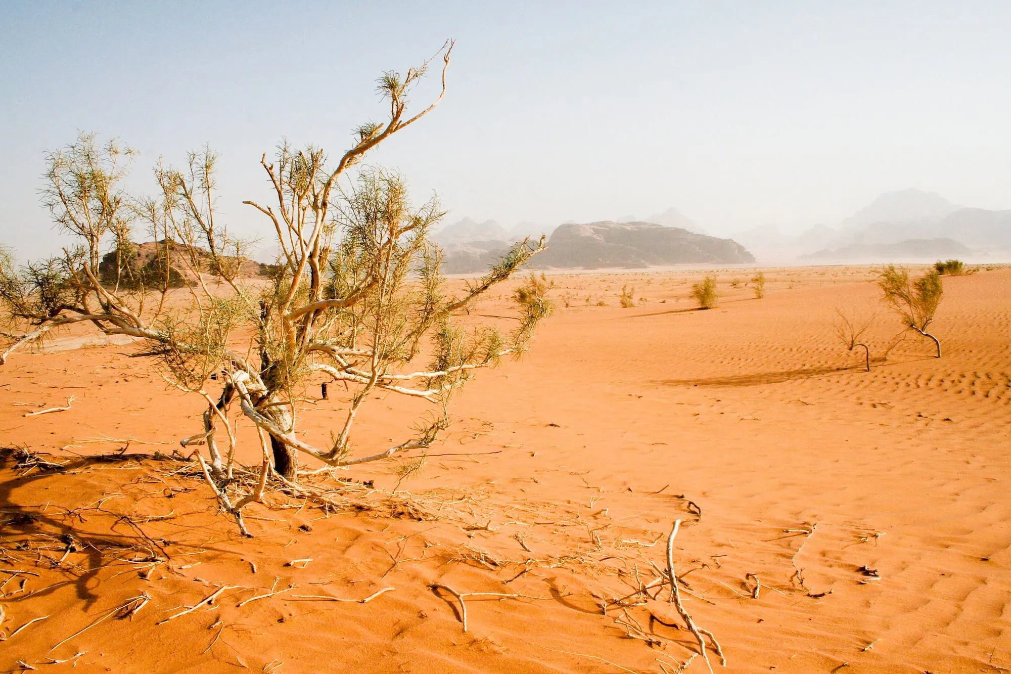 Desert landscape in Wadi Rum with red sand dunes and rock formations