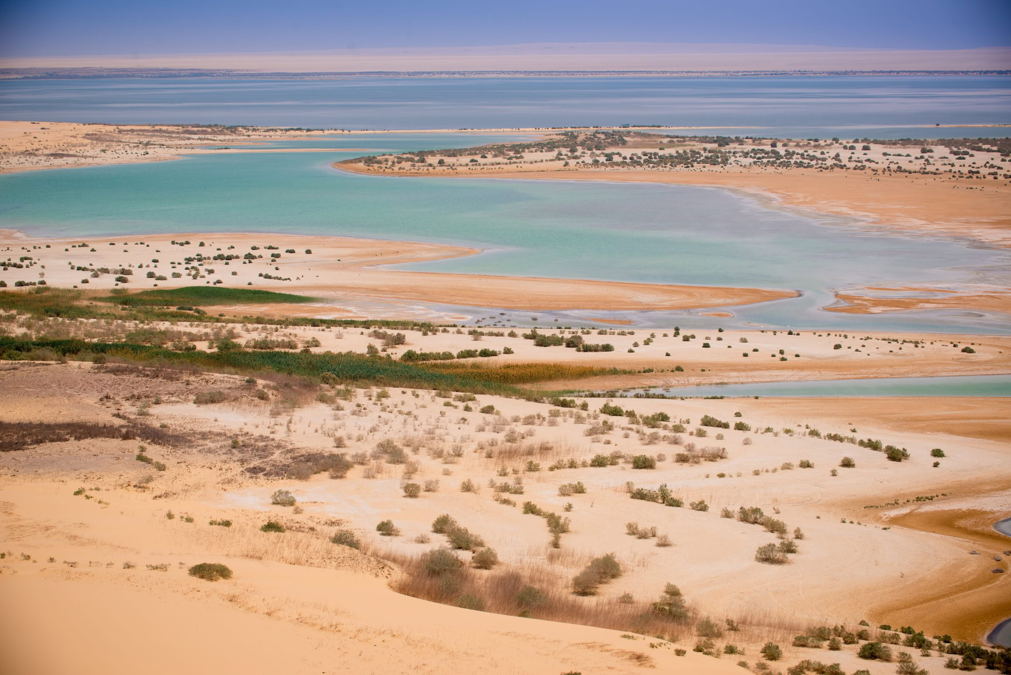 Fayoum Oasis, Sahara – Embark on a Journey Through Time