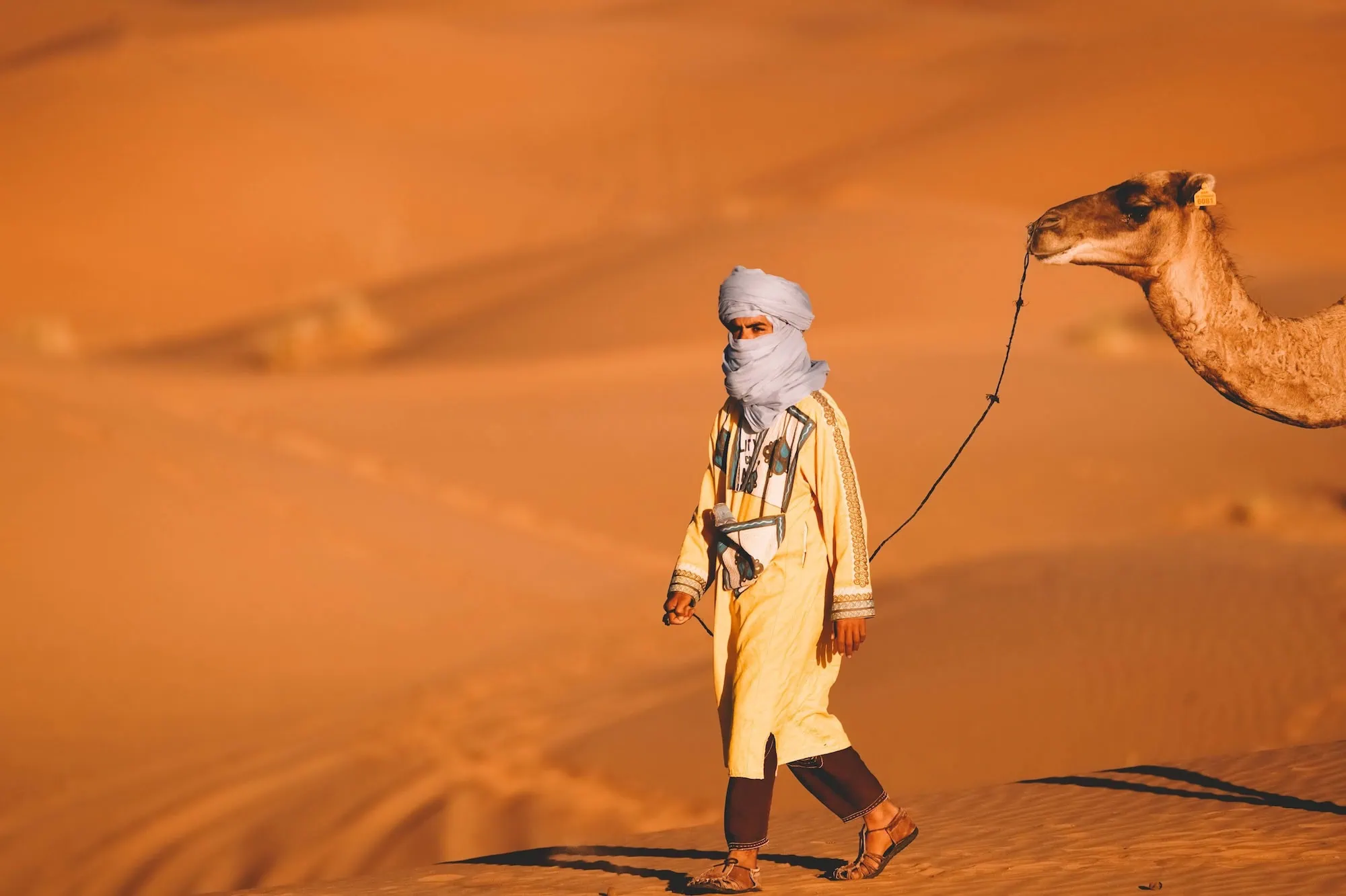 Berber guide in traditional white turban and yellow robes walking with camel in Sahara Desert