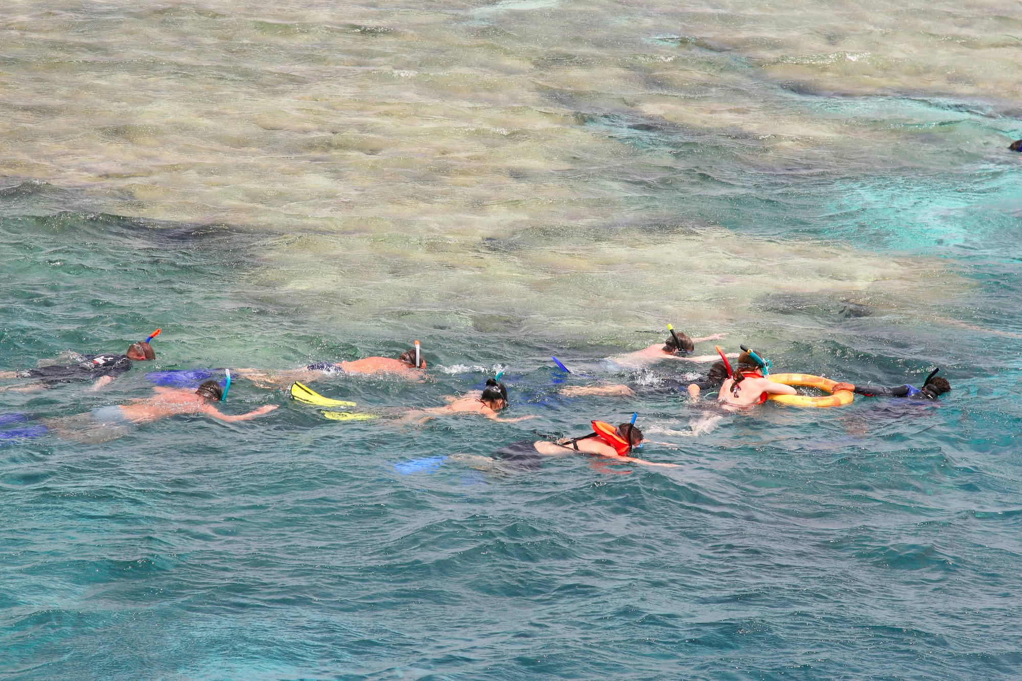Group of snorkelers with masks, fins and life jackets exploring coral reef waters