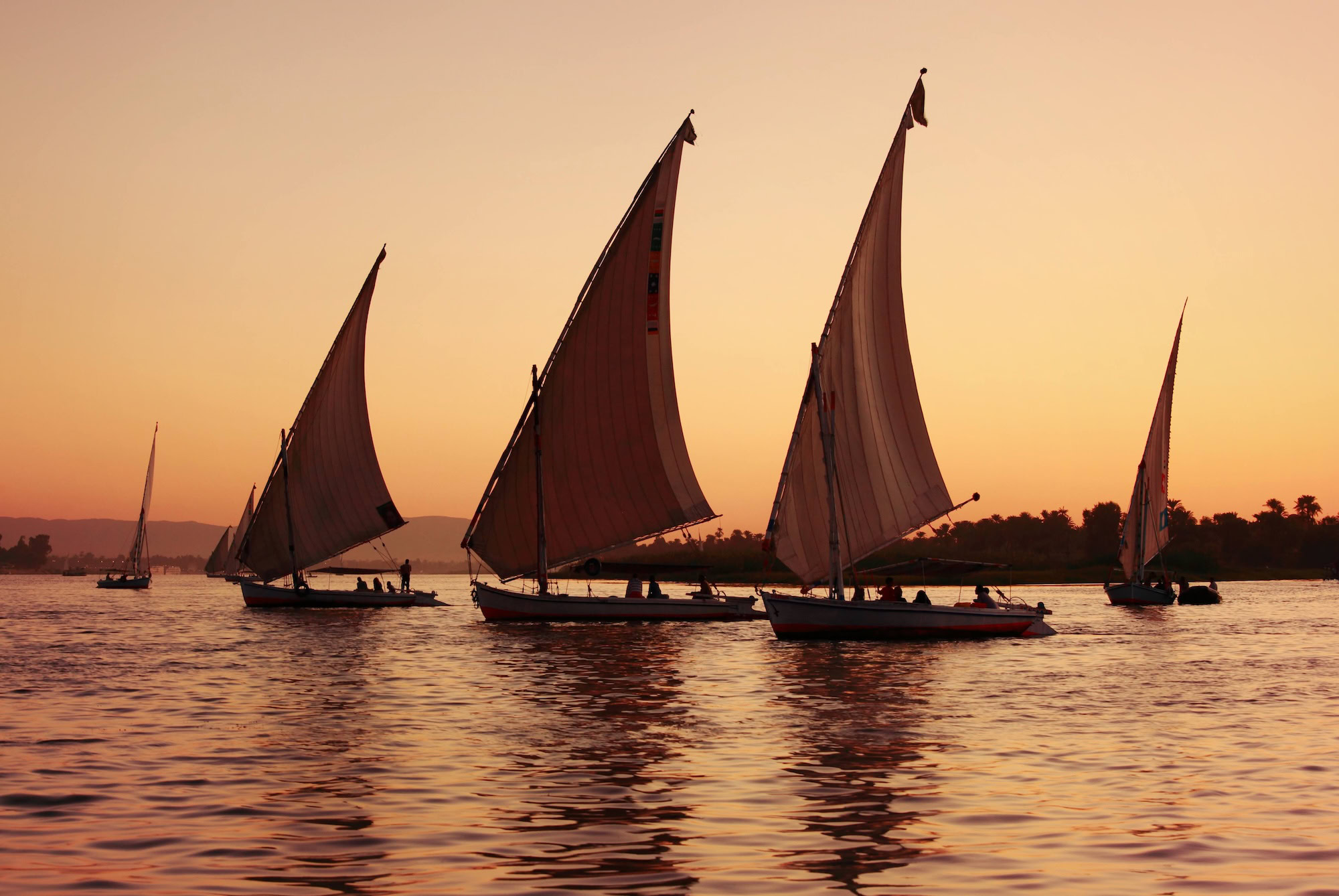 Traditional felucca sailboats silhouetted against sunset on the Nile River
