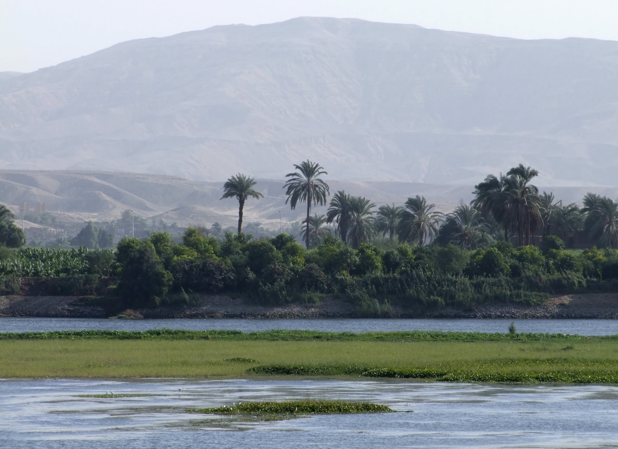 Scenic view of the Nile River with palm trees lining the riverbank and mountains in the background
