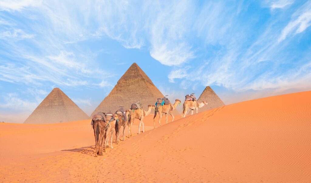 Camel caravan in front of the Great pyramid of Giza complex Cairo 1