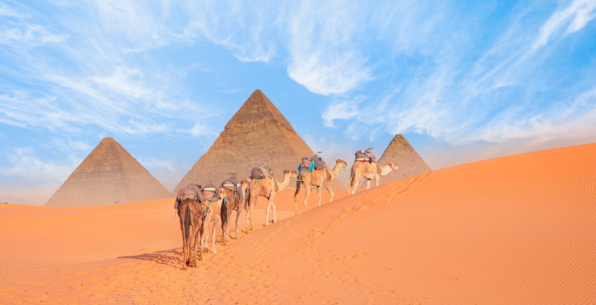 Camel caravan in front of the Great pyramid of Giza complex Cairo 1 1905x976 crop 48 68
