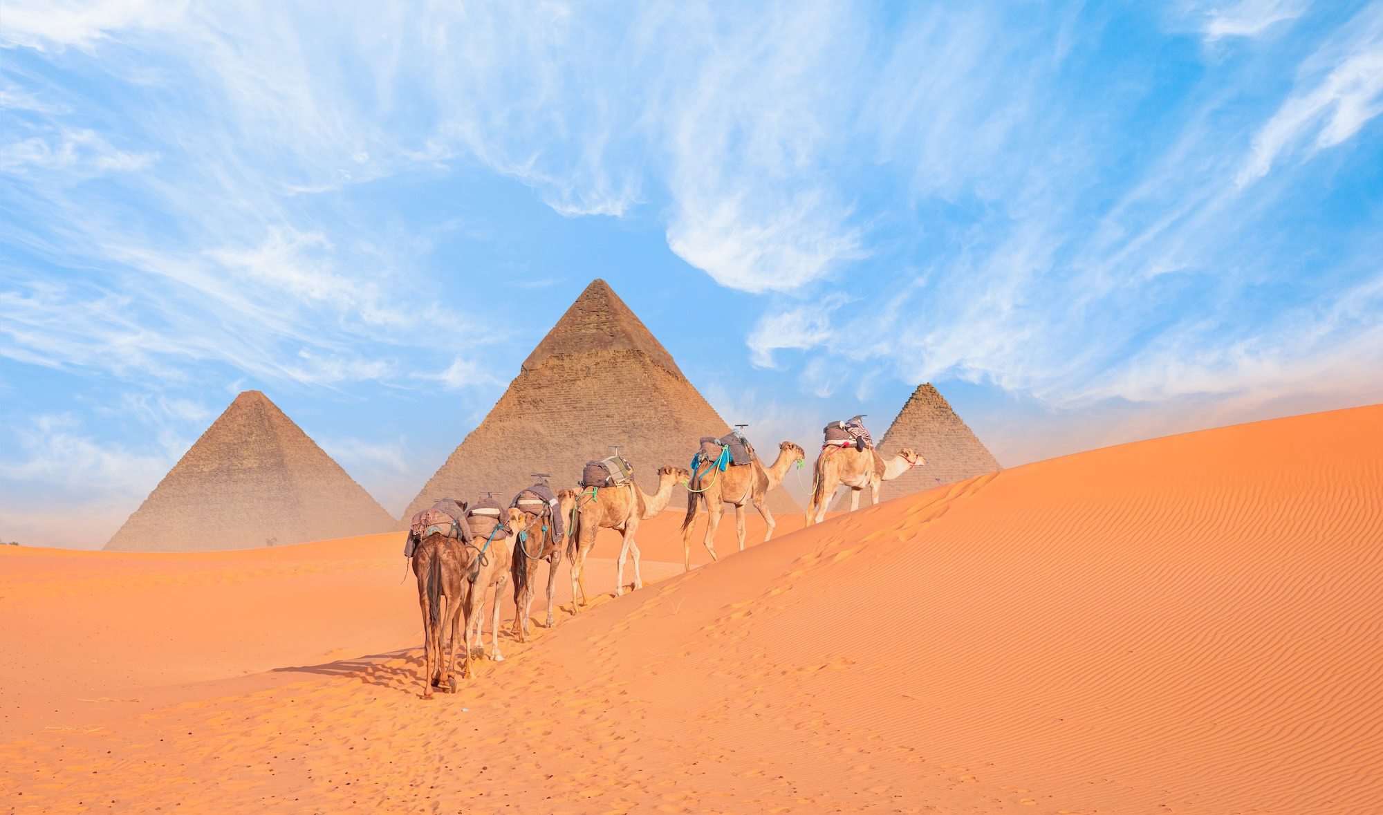 Pirámides de Giza con camellos en el desierto bajo un cielo nublado