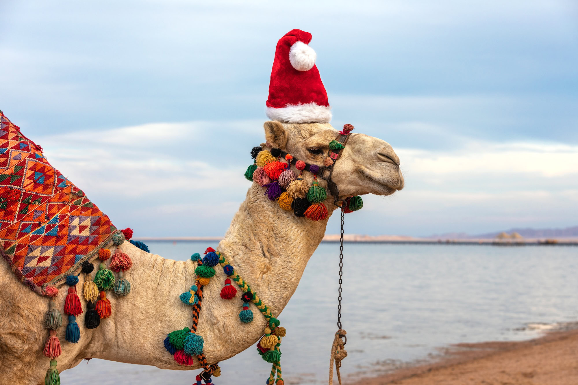 Navidad en Egipto
