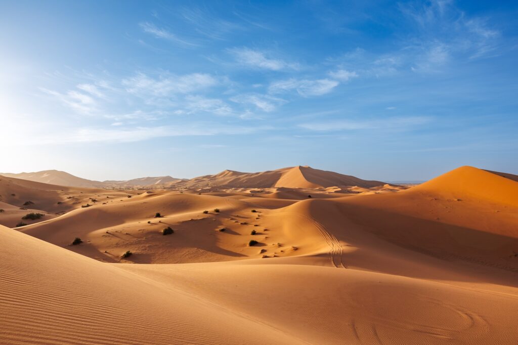 Golden dunes at sunset in the Erg Chebbi Desert, Morocco