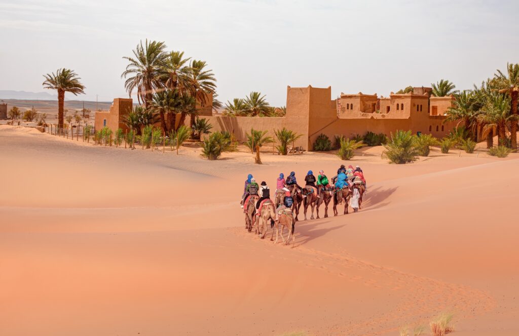 Tourist camel caravan near the Merzouga hotel district, Morocco