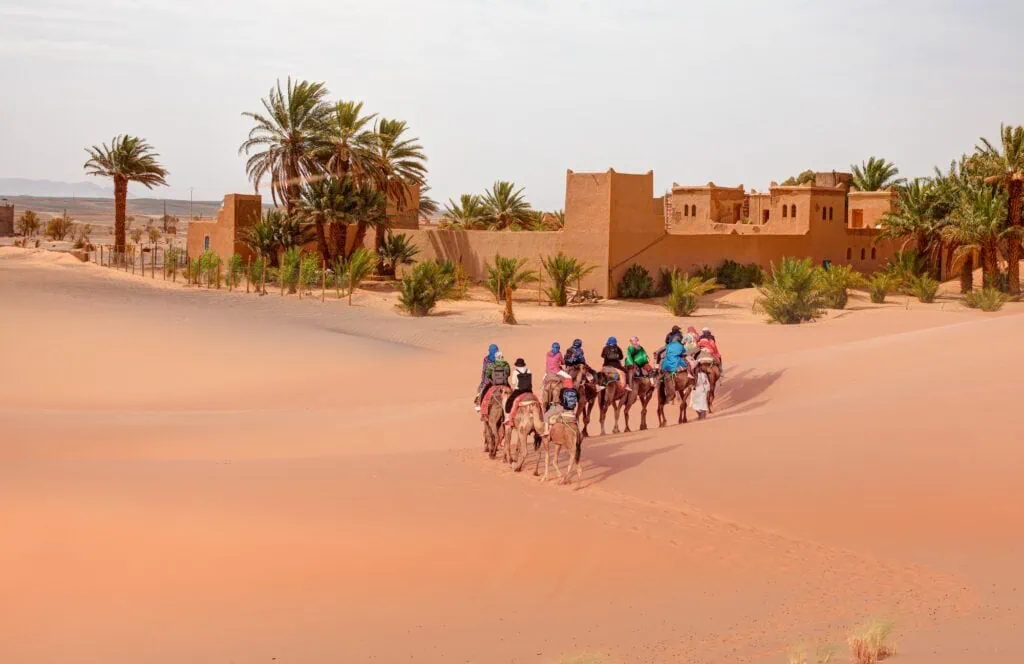 Camel caravan crossing sand dunes near the Merzouga hotels district in Merzouga