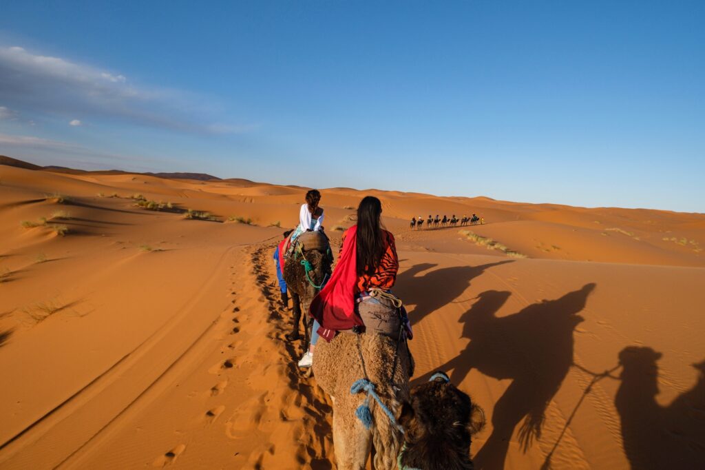 tourist camel caravan on Erg Chebbi Merzouga Taffilalet Morocco