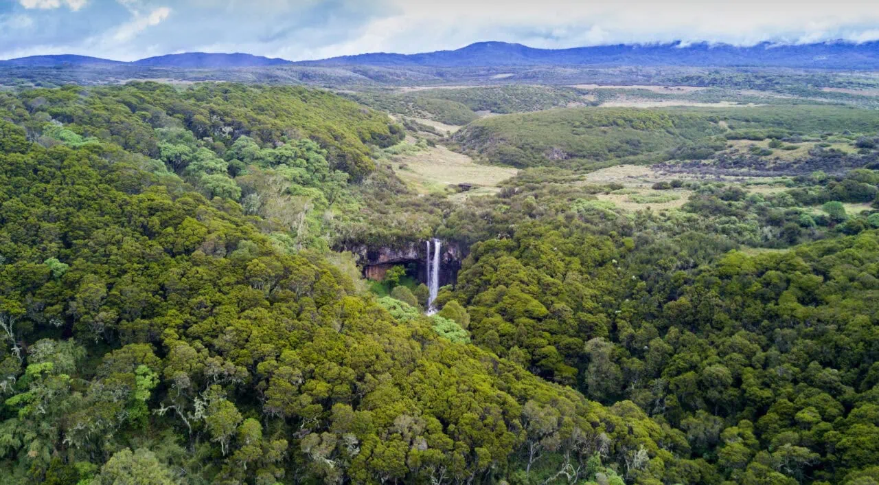 Aberdare National Park, Kenya