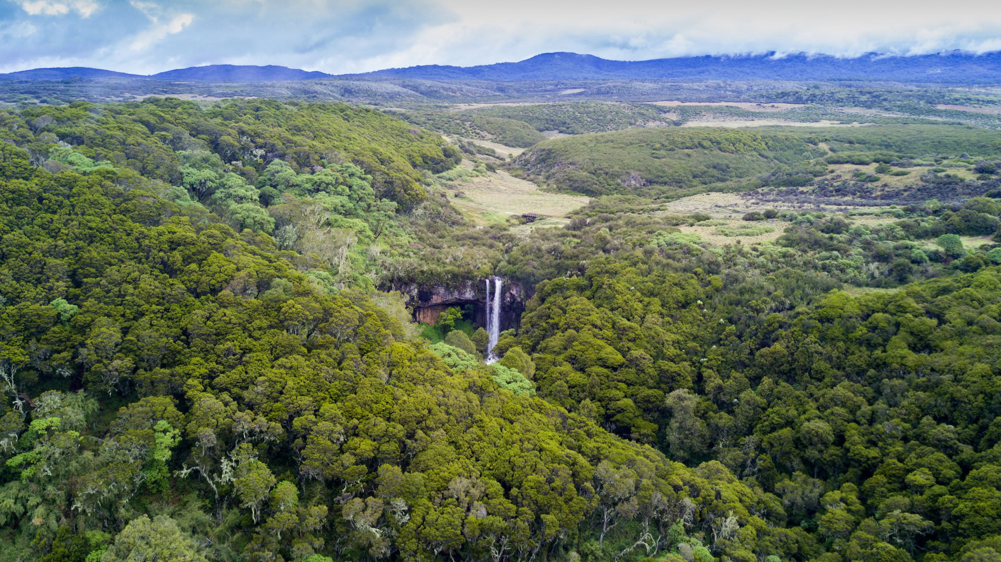 Aberdare National Park, Kenya