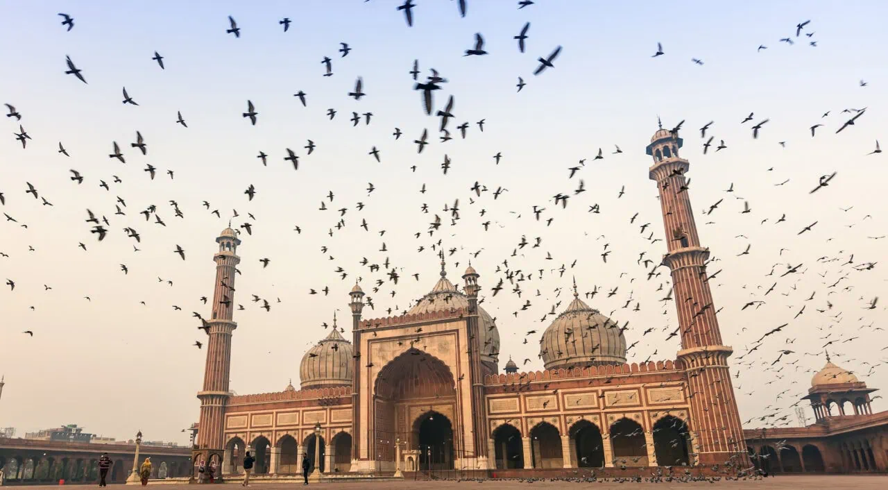 Jama Masjid, Old Delhi, India