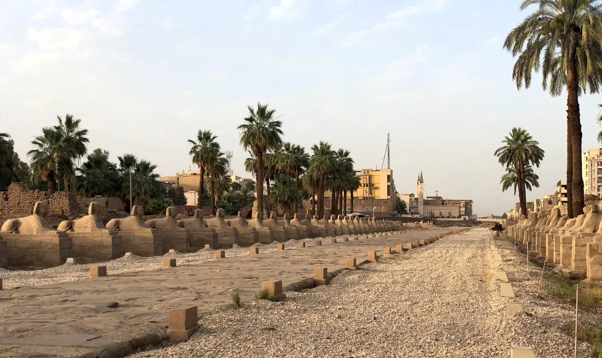 Panoramic view of the Avenue of Sphinxes archaeological site with sphinx statues lining the ancient walkway