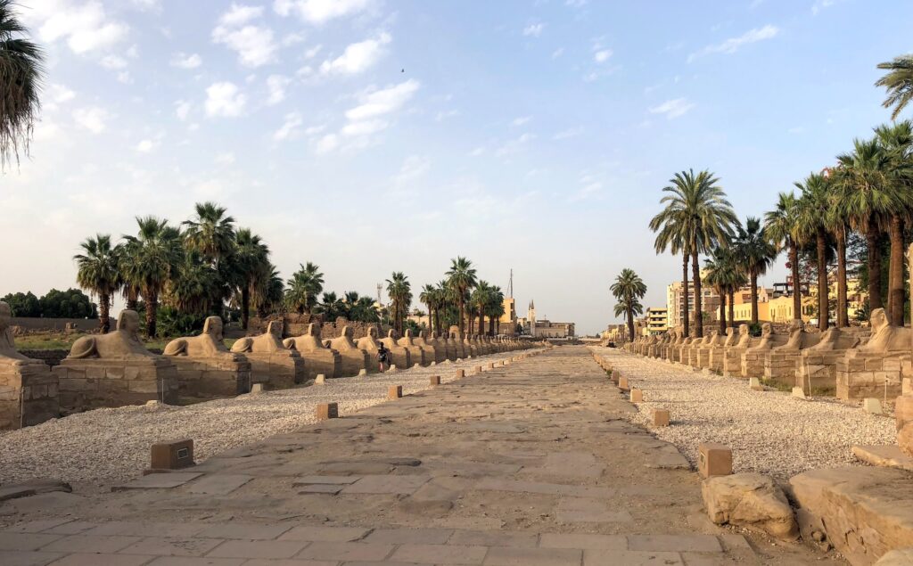 Stone sphinx statues lining the Avenue of Sphinxes connecting Luxor Temple and Karnak Temple, Luxor