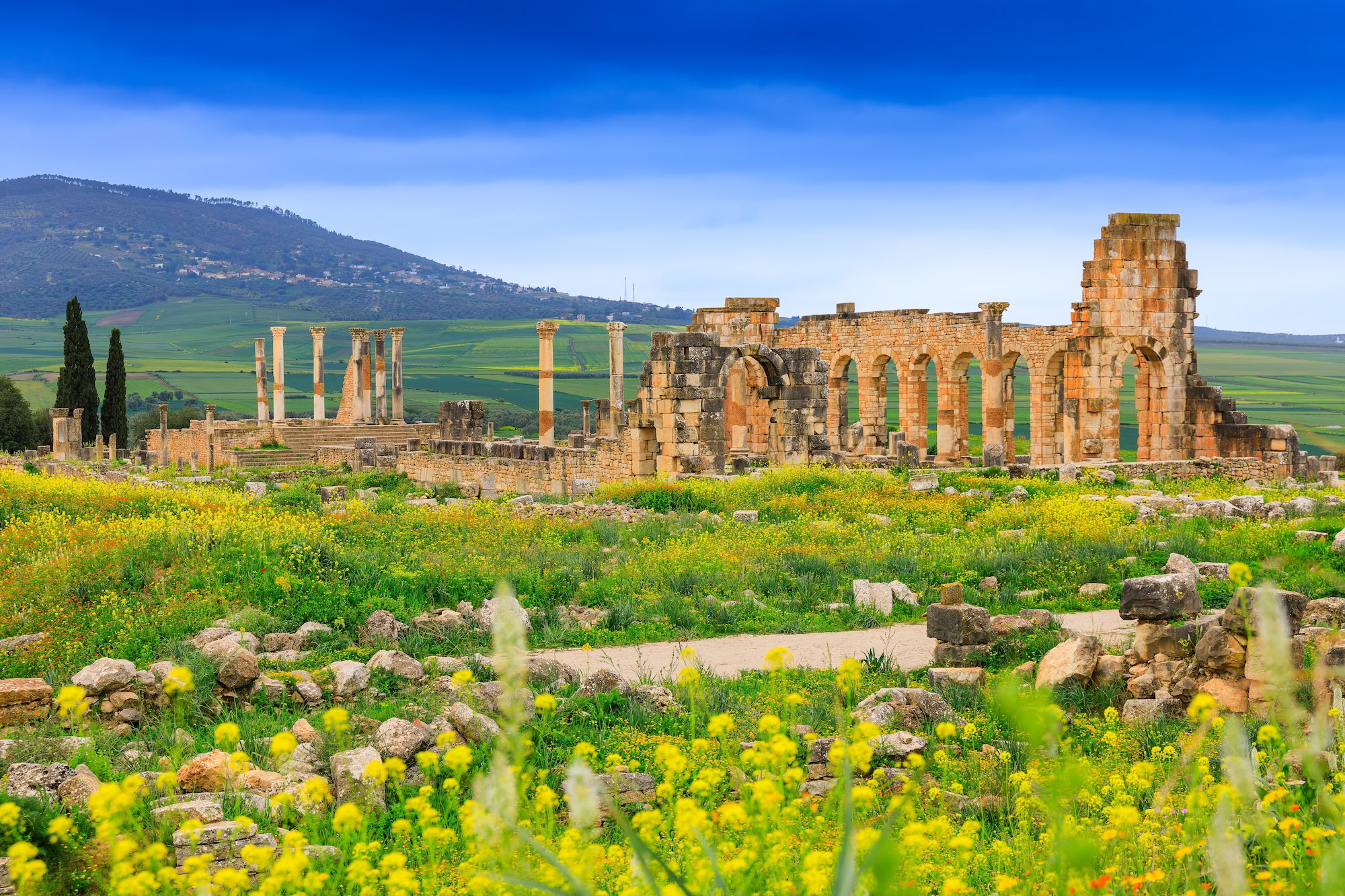 Volubilis, en Marruecos (cerca de Meknes)
