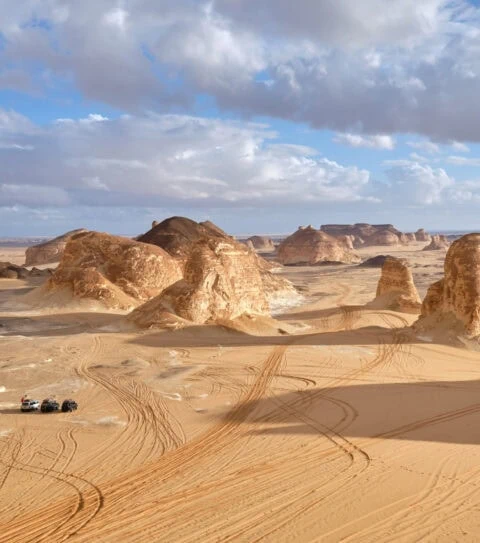 Western Desert