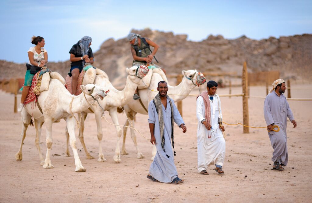 Camel rider trekking across desert landscape near El Gouna