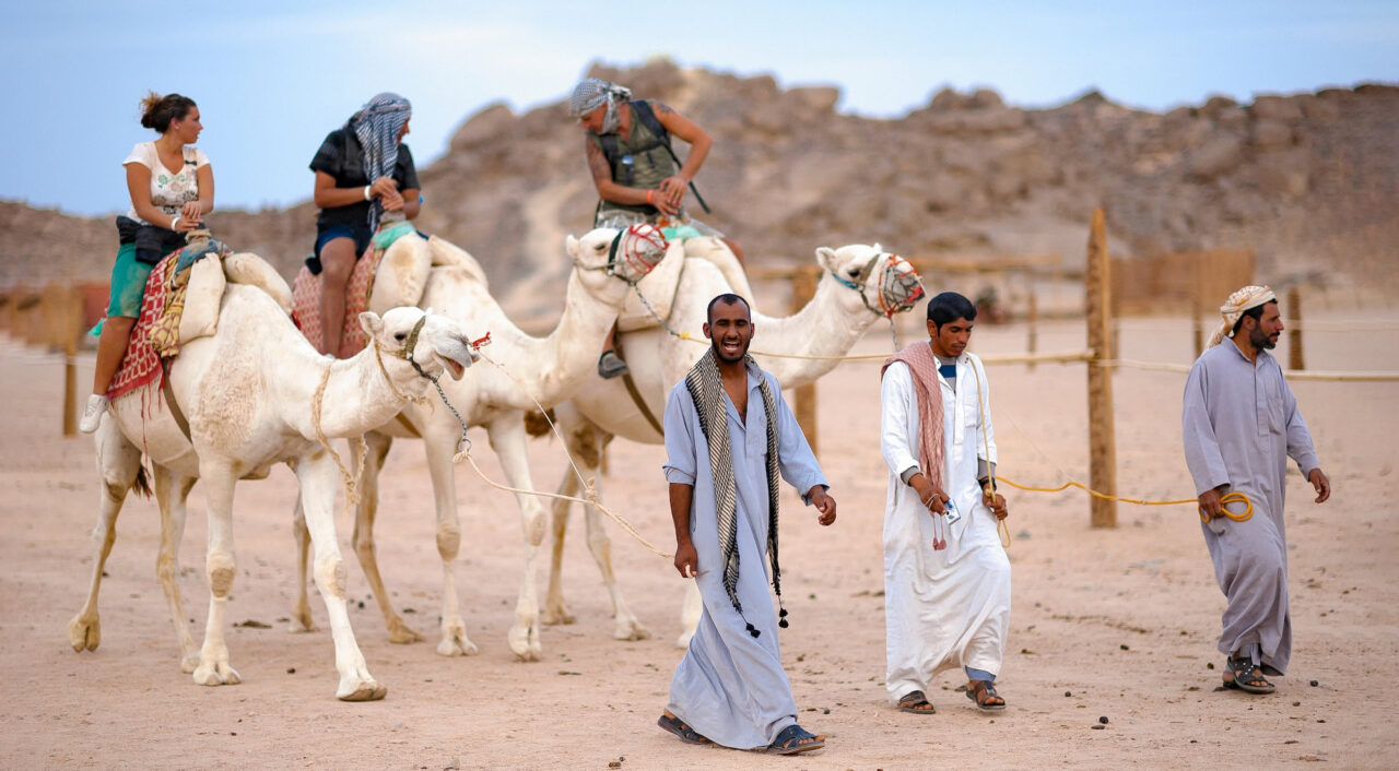 camel riding is one of the most popular tourist attractions in Egypt. Bedouin village in the Sahara desert near Hurghada