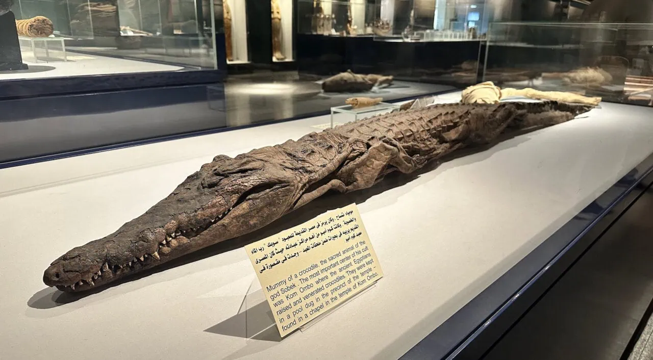 The Mummification Museum, Luxor