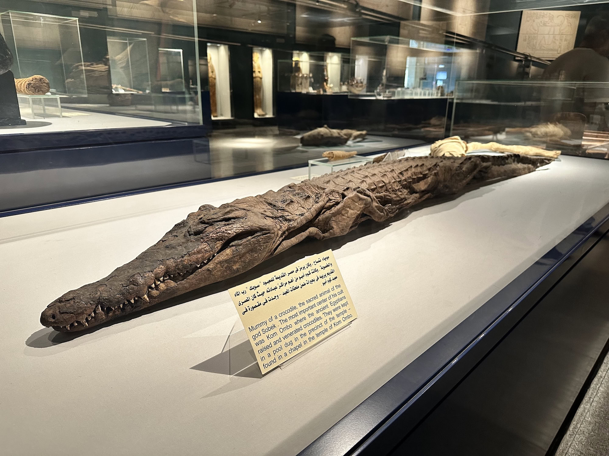 The Mummification Museum, Luxor