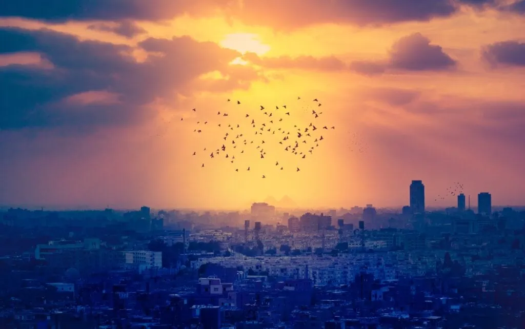 Sunset over Cairo with silhouetted pyramids and birds flying across the horizon