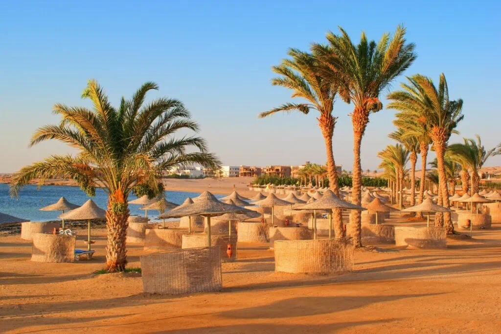 Beach with palm trees, sandy shoreline, sun umbrellas, and calm sea water, Hurghada