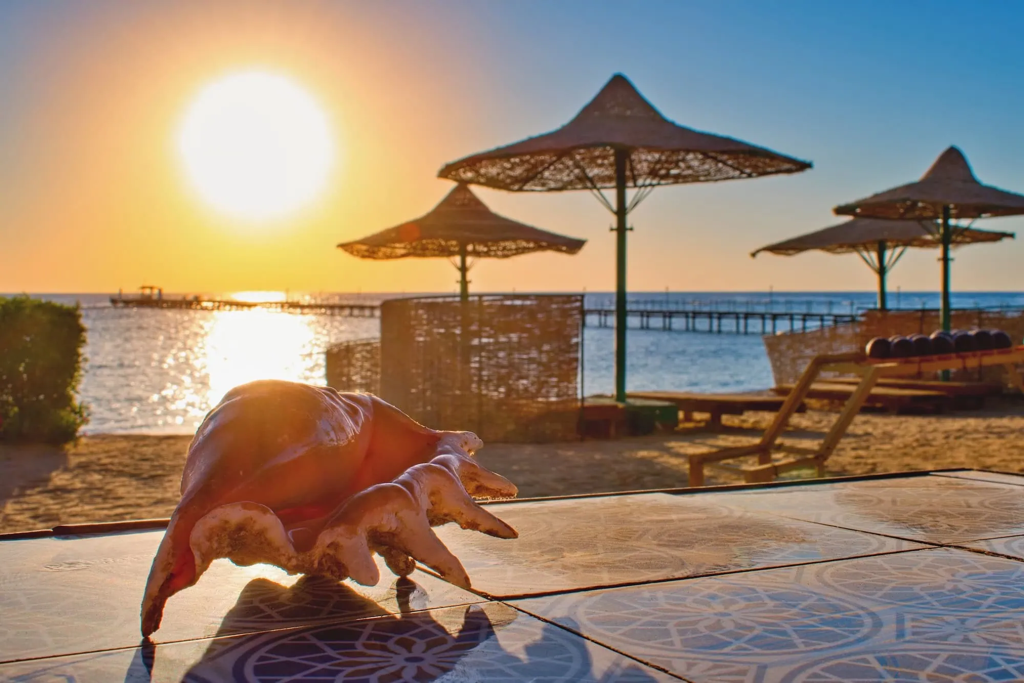 Beach resort with sun loungers, umbrellas and dolphin statue by the ocean