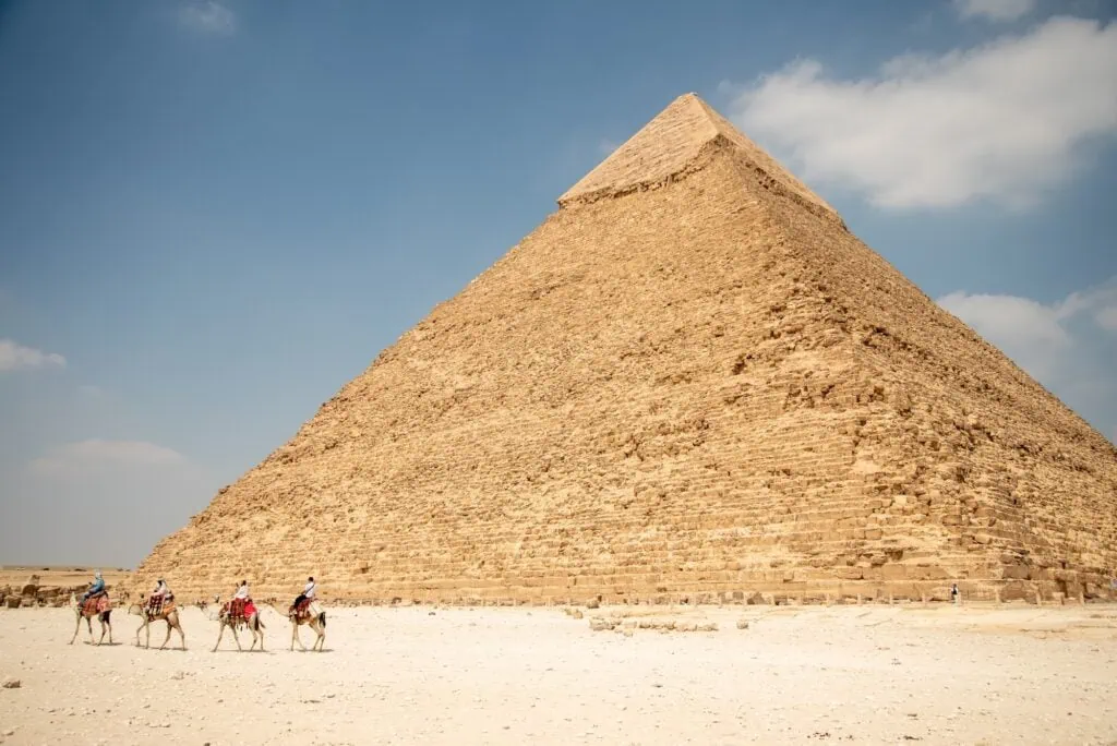 View of camels in the pyramids of Giza Egypt