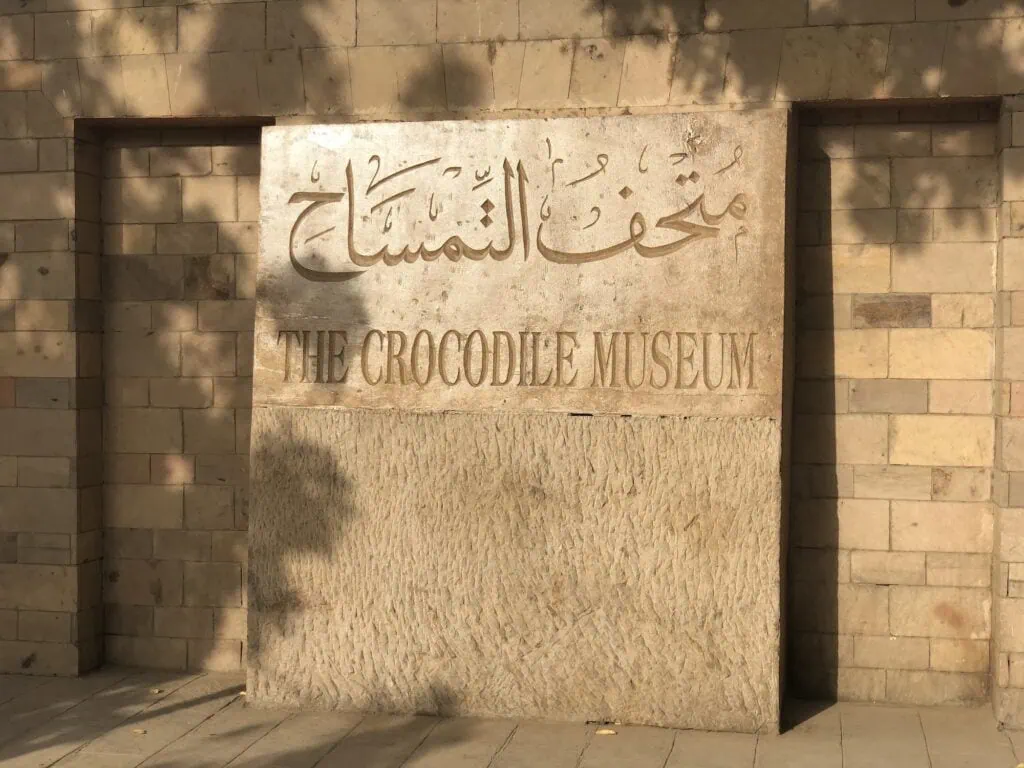 The Crocodile Museum at Kom Ombo Temple showcasing ancient mummified crocodiles