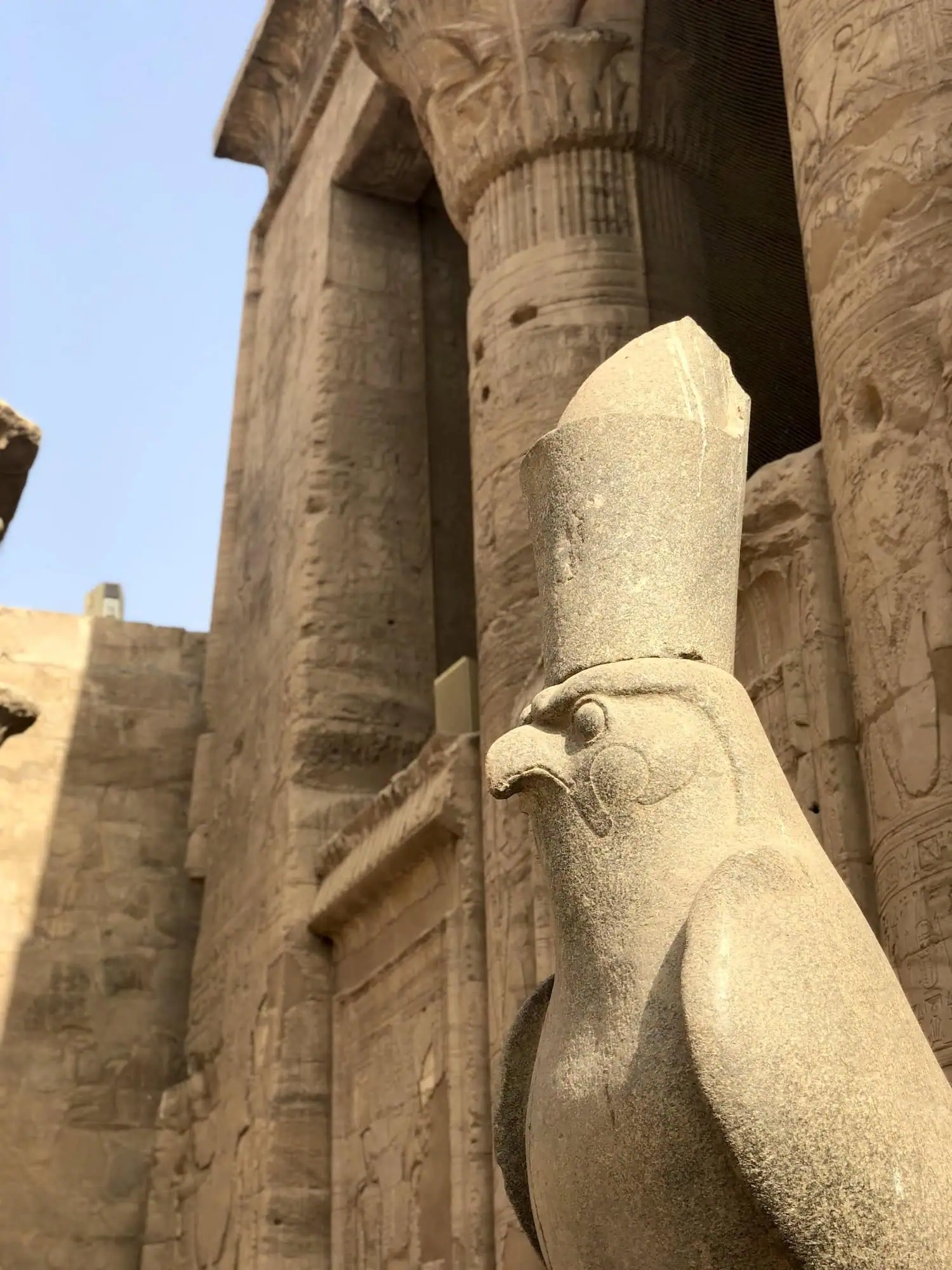 Ancient Egyptian falcon statue and hieroglyphic columns at Temple of Edfu dedicated to Horus