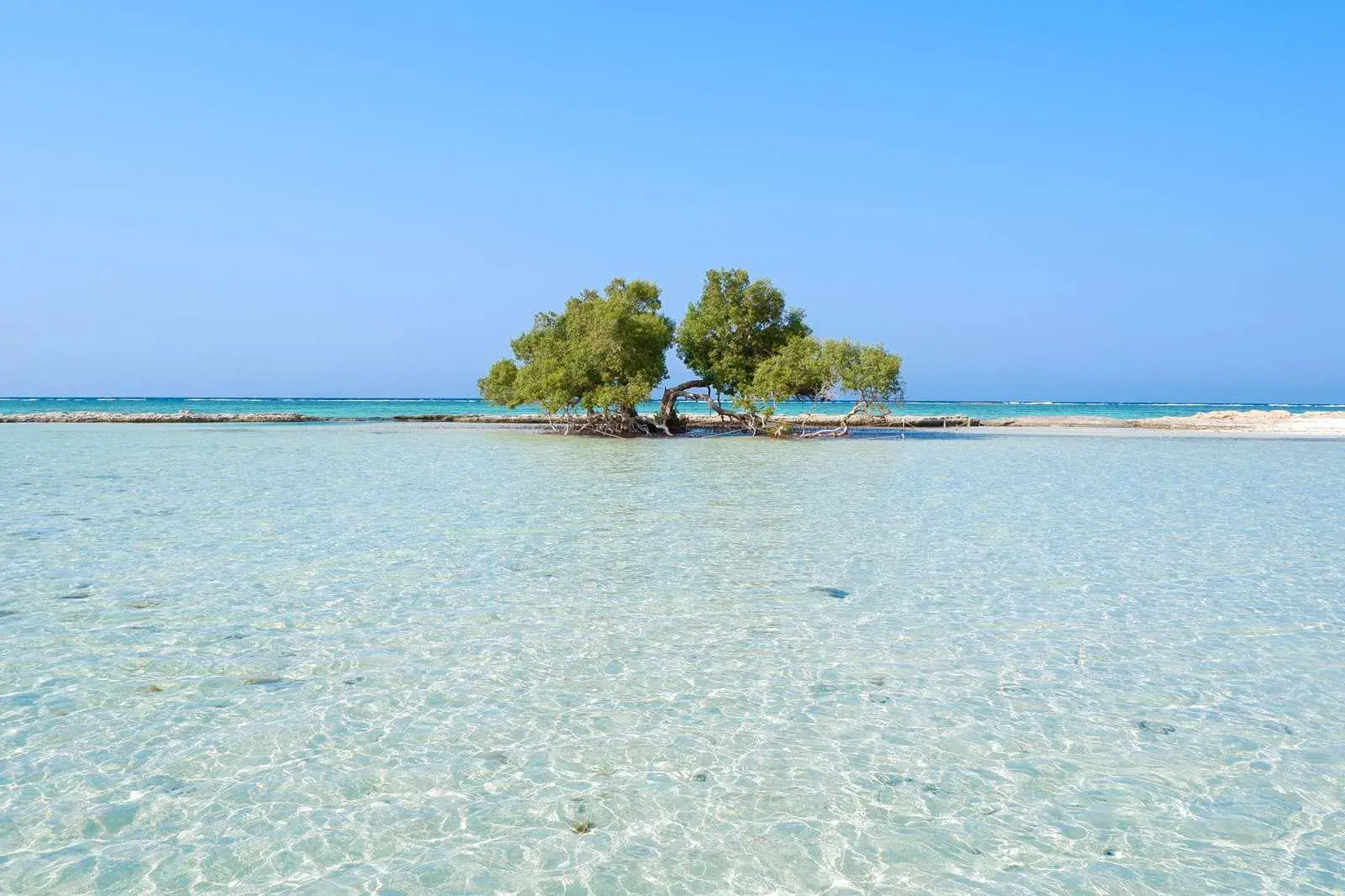 Pristine Sharm el Luli Beach with crystal clear turquoise waters and small mangrove island
