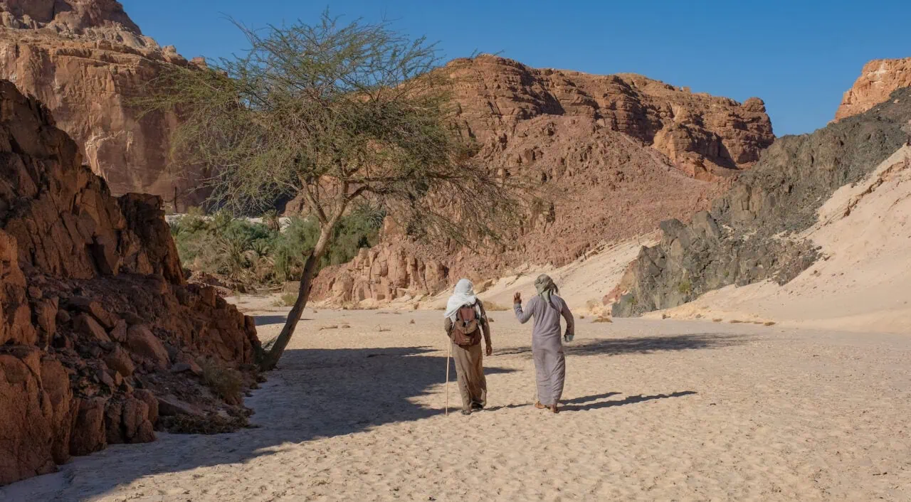 Beduins on the their way to Ein Hudra oasis, Sinai desert in Egypt. Panoramic view of white sand and mountains