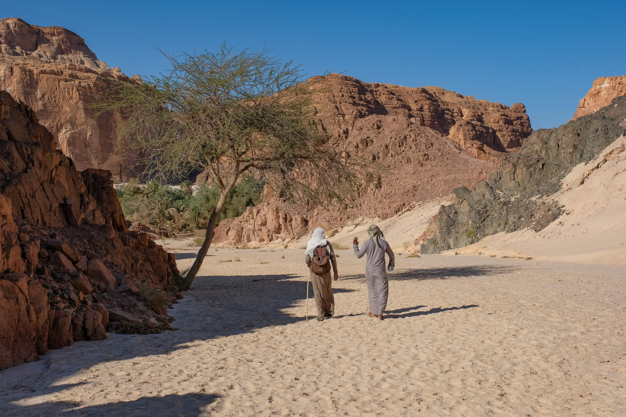 Beduins on the their way to Ein Hudra oasis, Sinai desert in Egypt