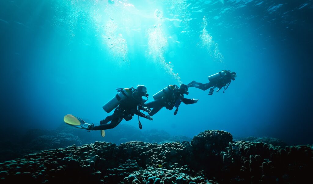 Divers swimming above coral formations in the Red Sea, Dahab