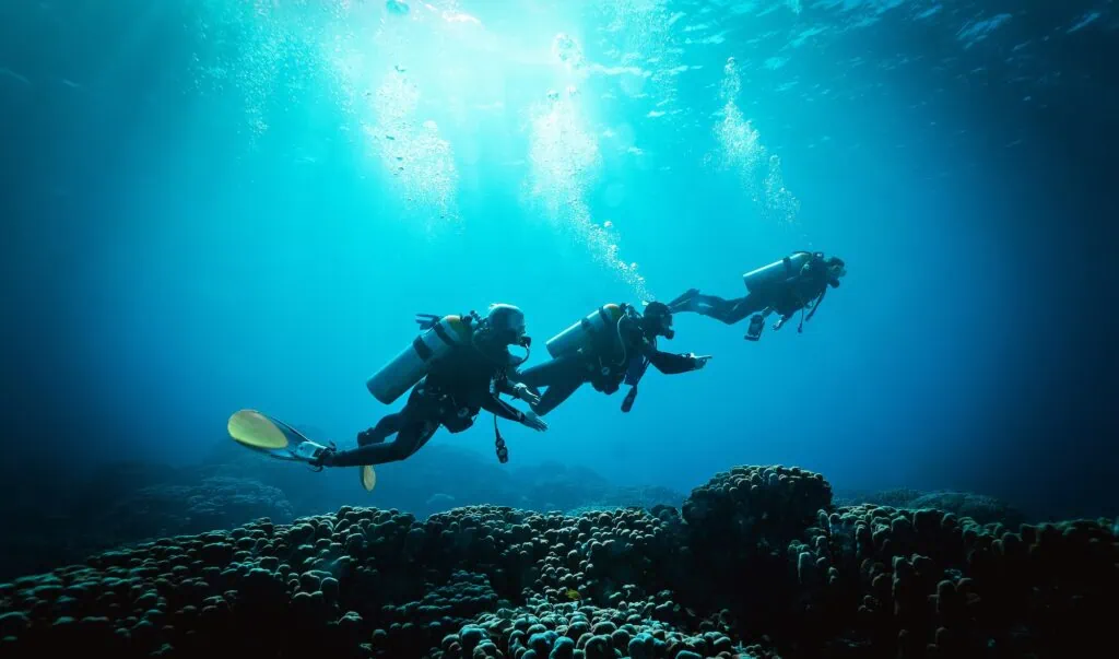 Divers swimming above coral formations in the Red Sea, Dahab