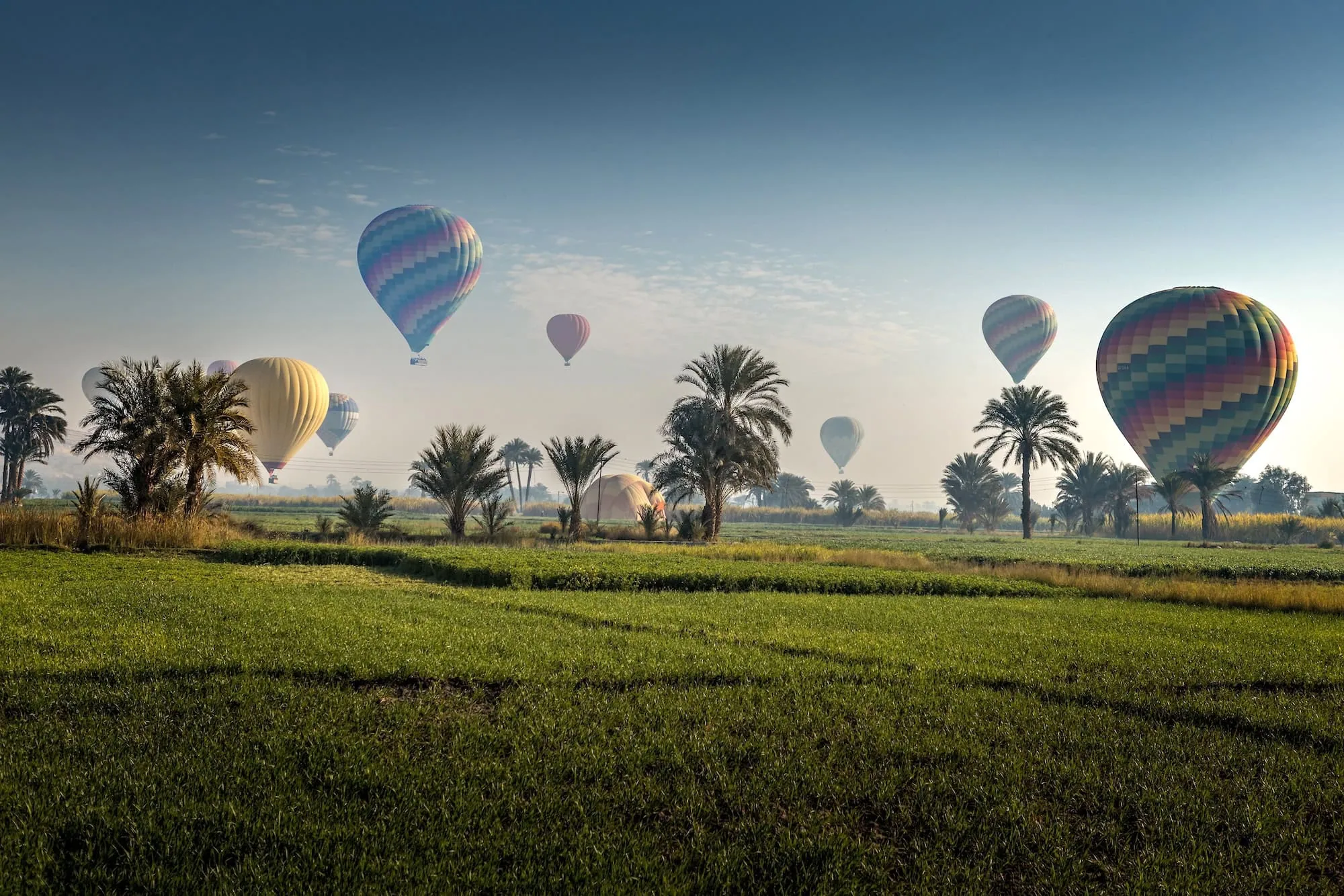 Colorful hot air balloons floating over green agricultural fields and palm trees in Luxor during golden hour