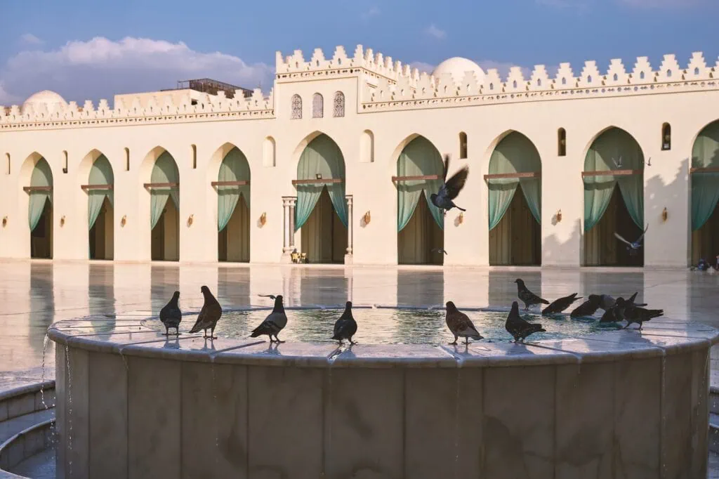 A courtyard view with a central ablution fountain and birds gathered on the marble floor inside the Al-Hakim bi-Amr Allah Mosque, Cairo