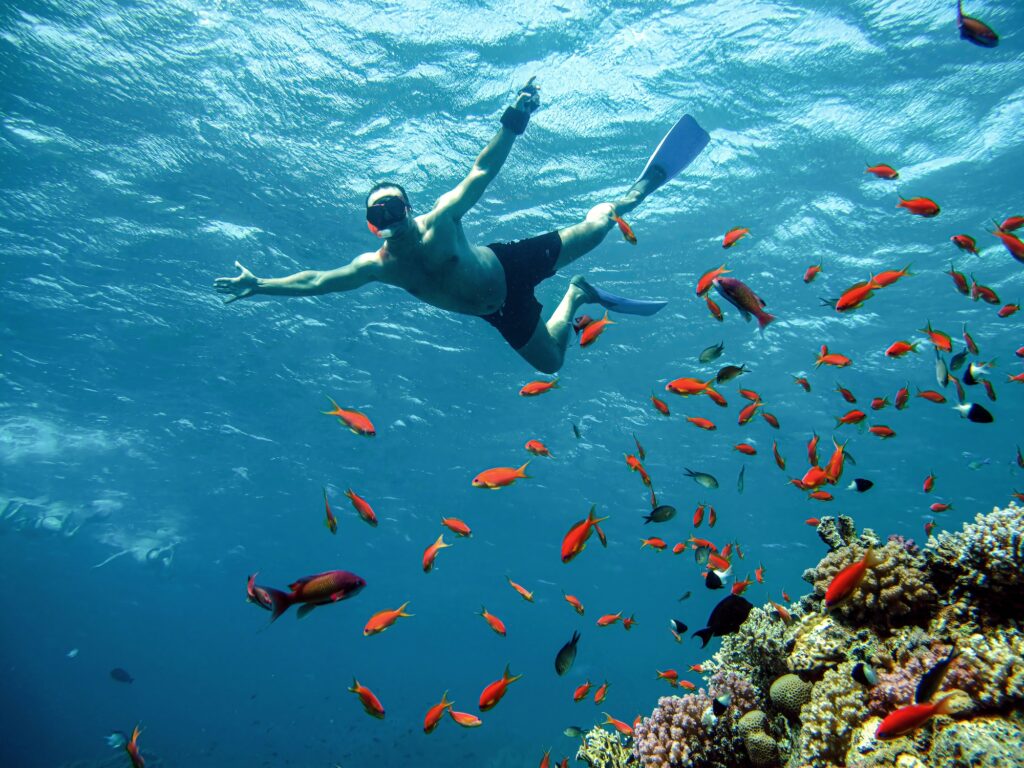 Young man snorkeling underwater among coral and fish in the Red Sea, Hurghada