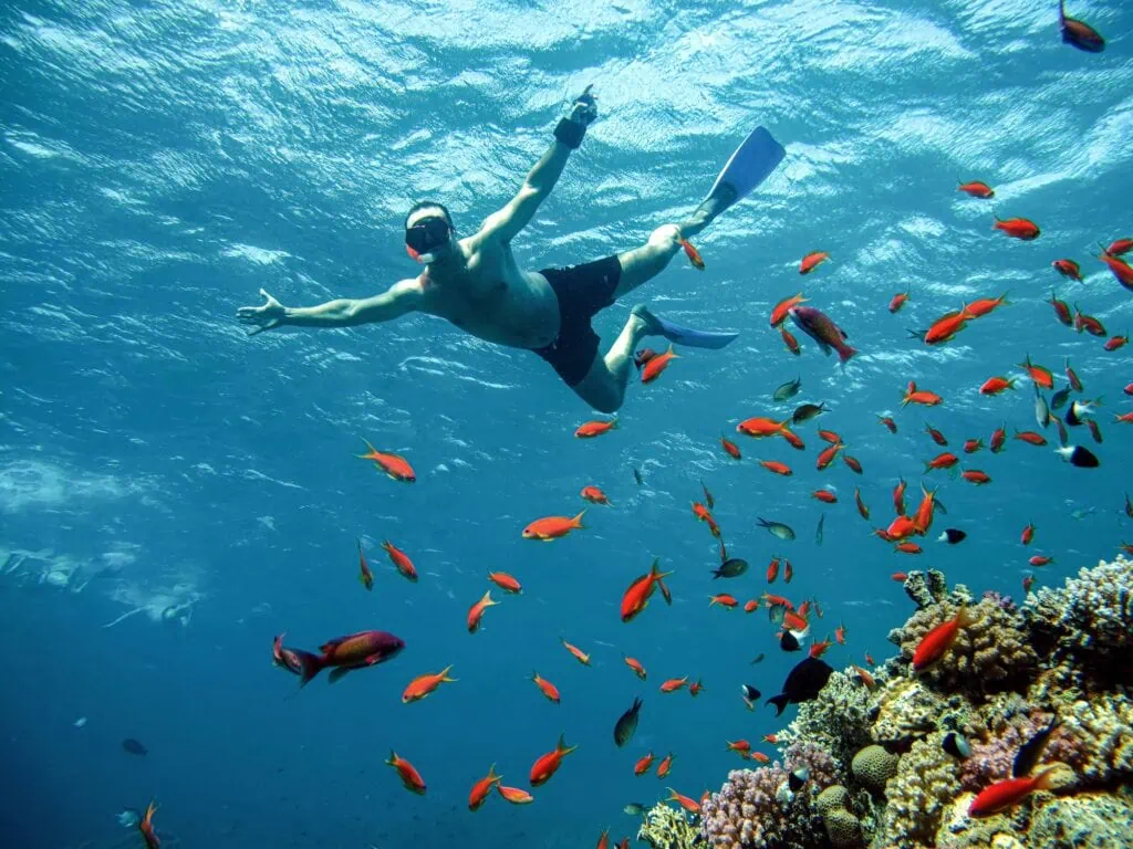 Young man snorkeling underwater among coral reefs in the Red Sea, Hurghada