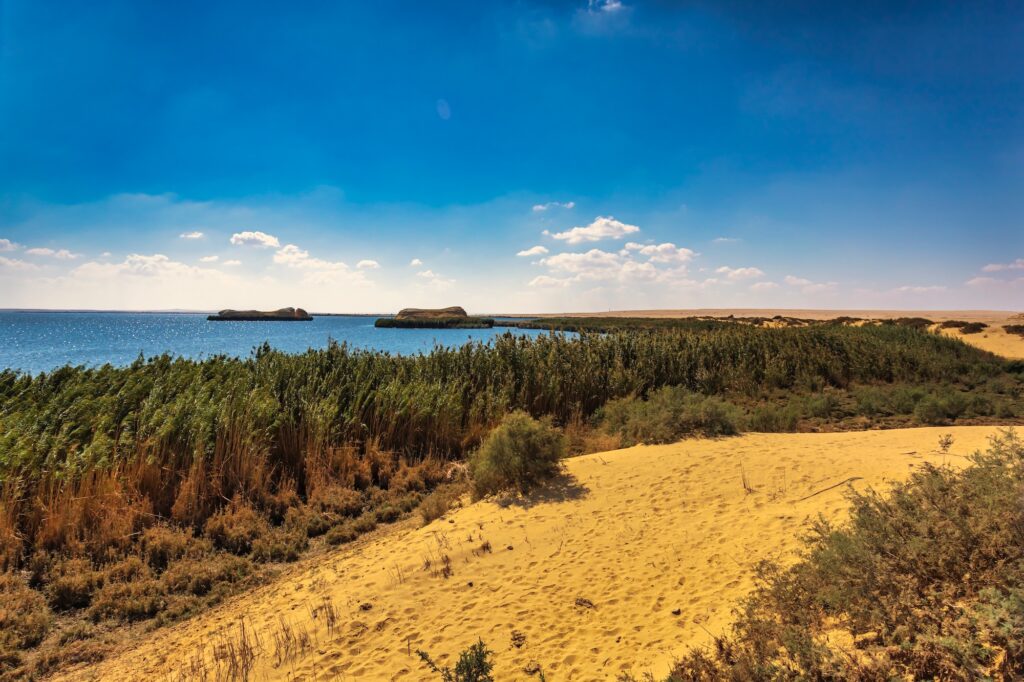 Natural oasis with calm lake water bordered by desert sands and sparse vegetation at Wadi El Rayan, Fayoum